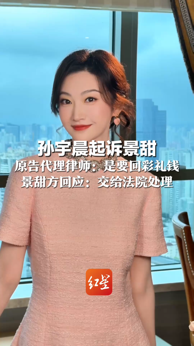 孙宇晨起诉书未提及代孕