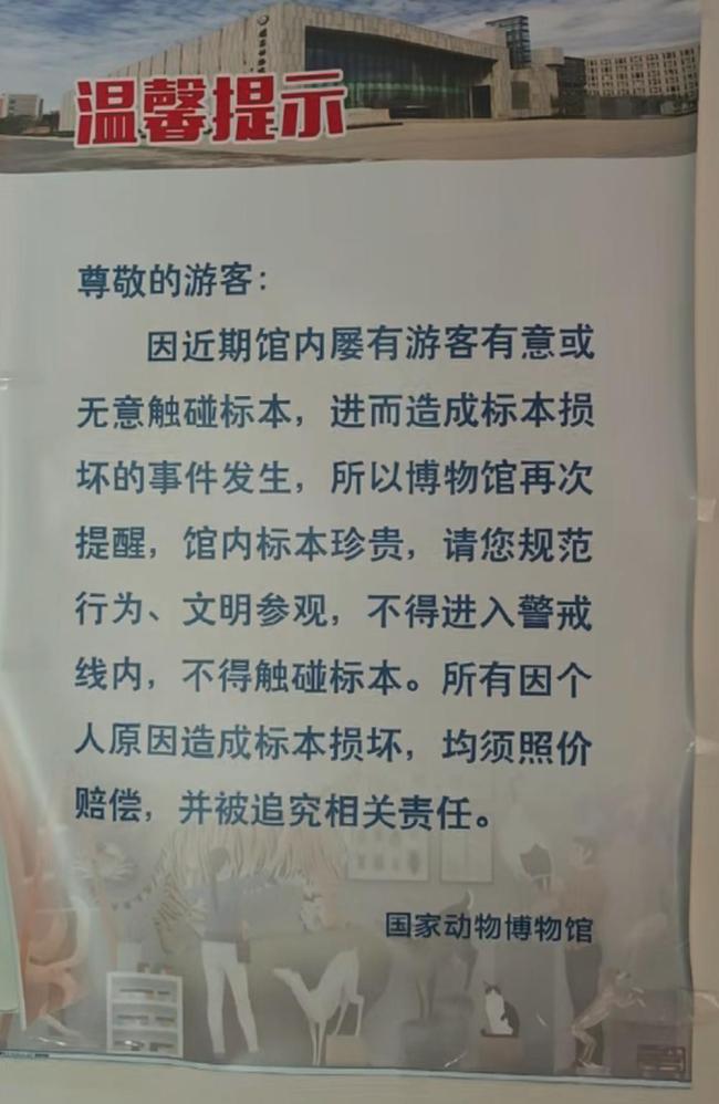 孩子玩闹损坏博物馆蛇类标本 家长行为引争议