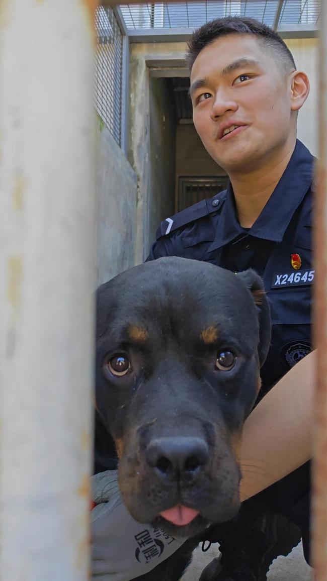 警校大三开学先挑小狗搭子 人犬默契初培养