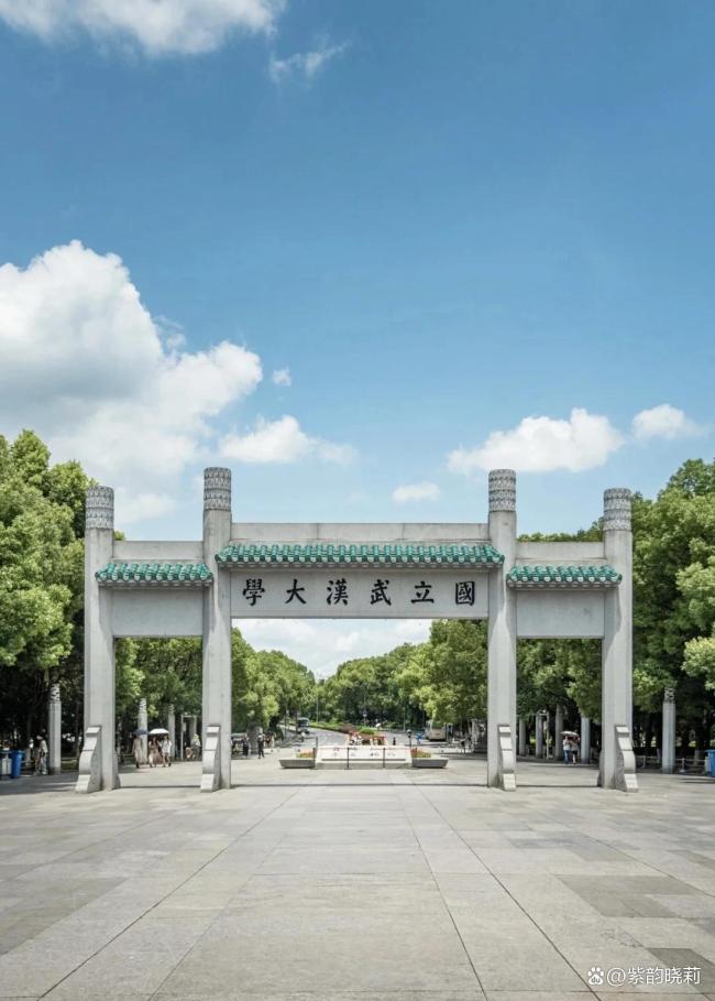 武大副教授被指师德问题 校方启动调查引发关注