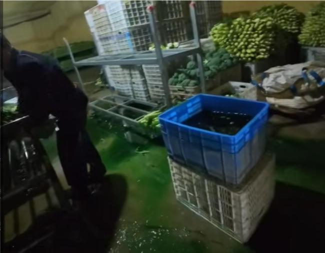 兰州榆中通报莴笋收购环节染色 违规添加剂引关注