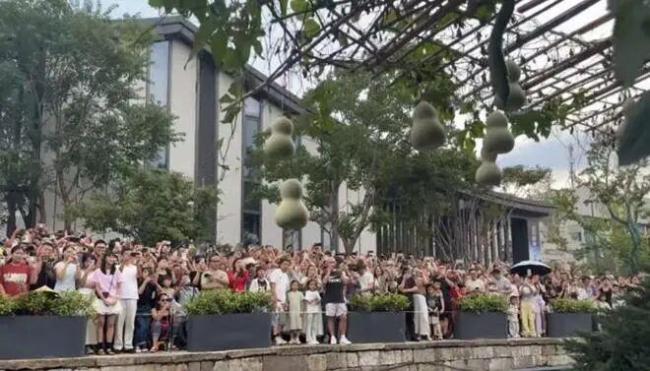 “葫芦娃爷爷”：明年大概率不会种了 游客热情带来困扰
