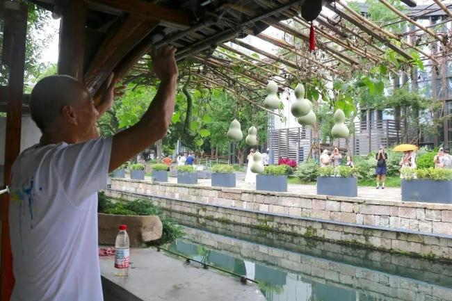 原版葫芦刚剪山寨葫芦来抢流量了 真葫芦摘下，假葫芦跟风