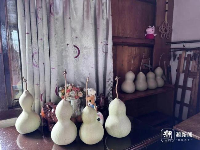 浙江宣传谈7个葫芦被剪了 为了安全与宁静
