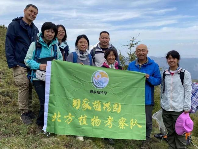 国家植物园确认灰绒麝凤蝶有宝宝了 珍稀物种成功定居