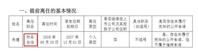 上市公司公告把财务总监写成总临 低级错误频现引发关注