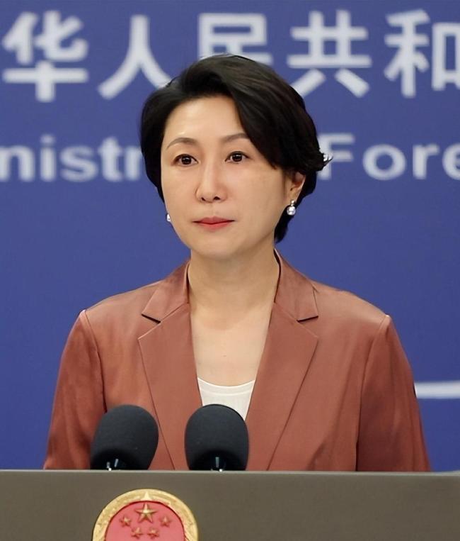 刚胜选就向中国示好 德国选择党表态 争取工商界好感