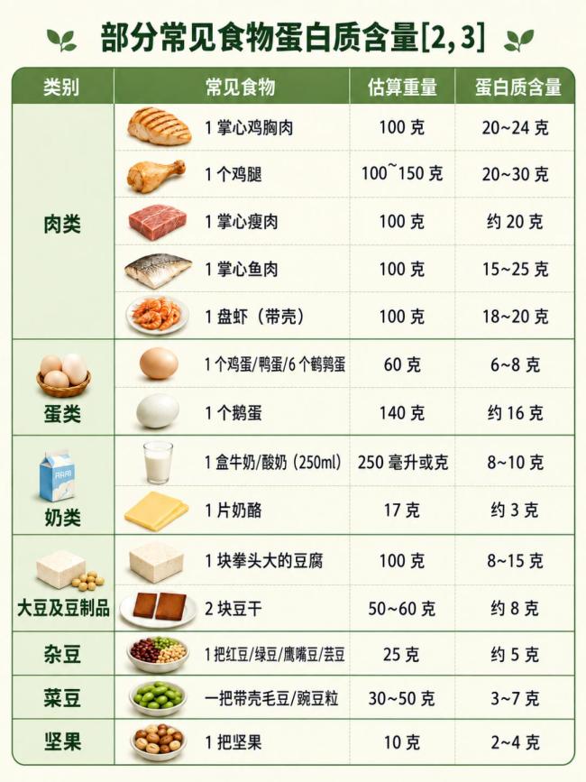 不同人群补充蛋白质该吃哪些食物 科学摄入指南