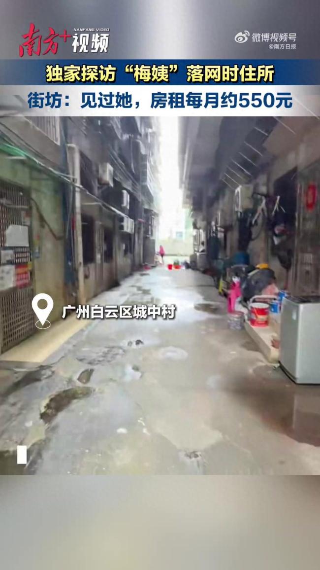 梅姨摆摊点非常多 生活拮据靠卖芒果