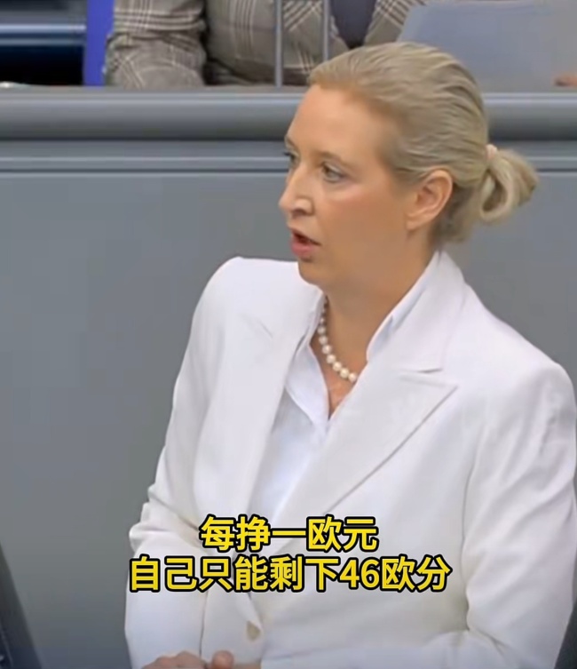 德国选择党领袖公开叫板默茨：德国人每挣一欧元，自己只能剩下46欧分