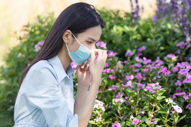 花粉浓度下降≠过敏警报解除 如何科学认知与防治