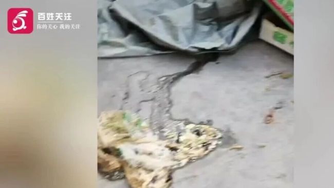 菏泽店主称再遭投掷厨余垃圾
