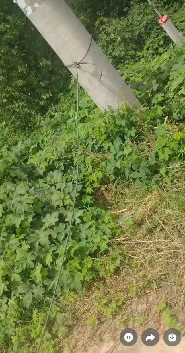 女子骑电动车途中遭横空线缆勒颈身亡