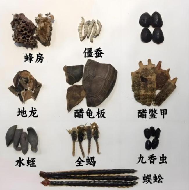 家长用自采草药给女儿治腹痛致其中毒 民间偏方风险大