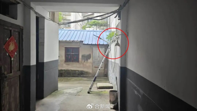 消防员救人发现救的是自己奶奶 亲情与职责的交汇