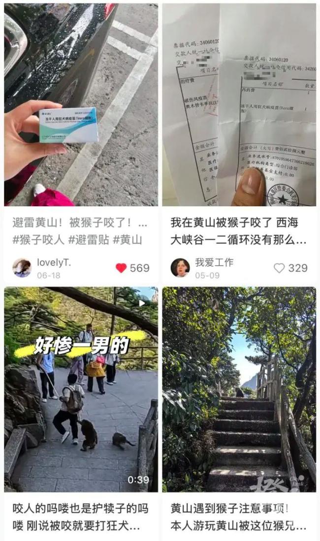 姑娘爬黄山遭猴群围攻 打8针疫苗