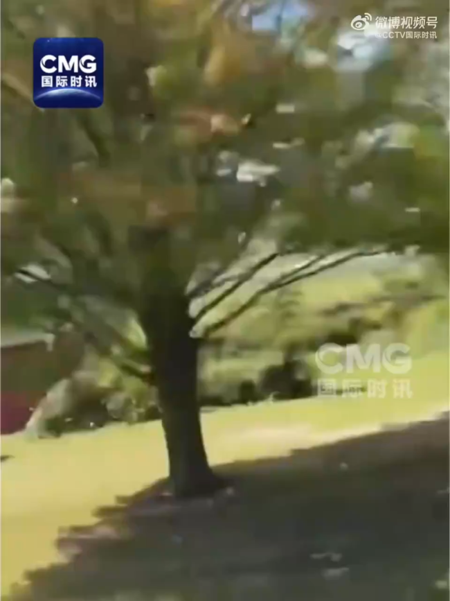 美国密歇根州一架F16战机坠毁