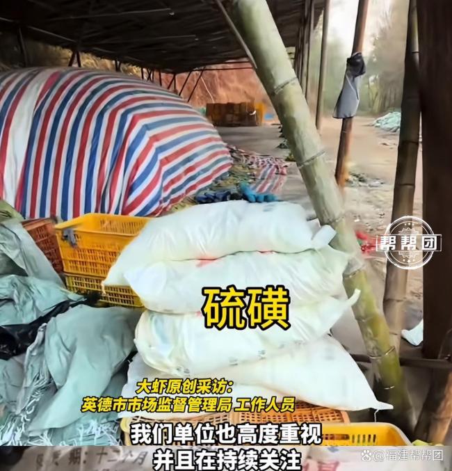 多地市监介入核实硫磺熏制鲜笋