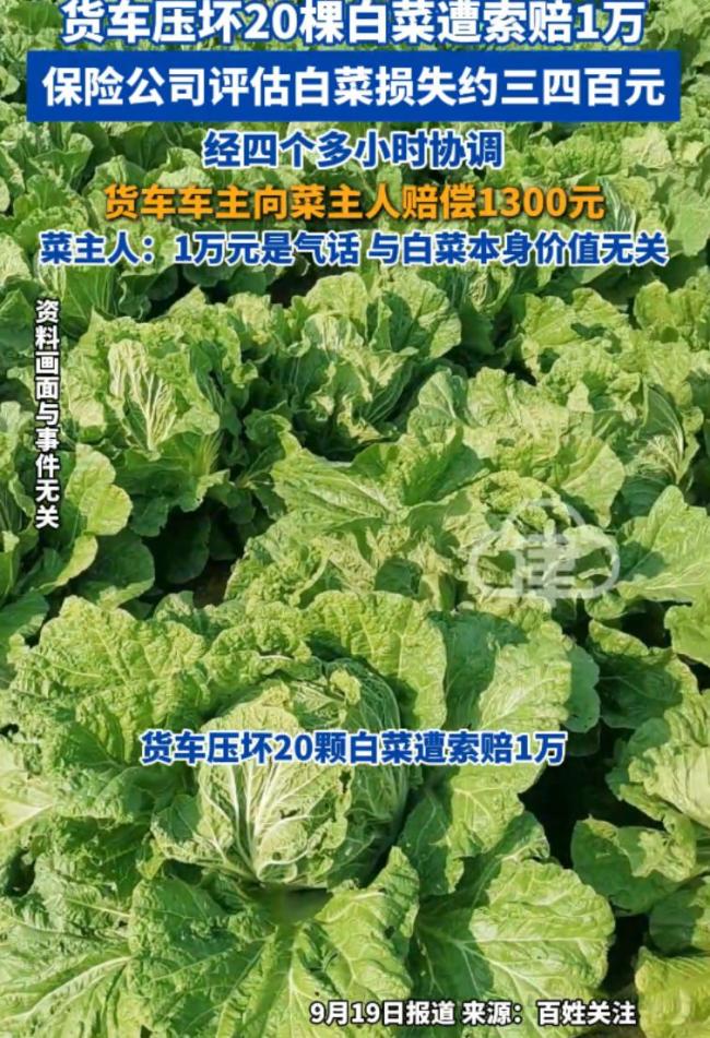 司机称压坏白菜被索赔1万元