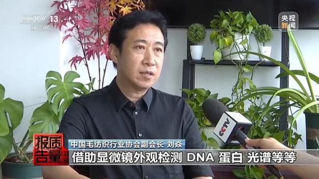 “绵羊绒”竟一根羊绒都没有 市场乱象揭秘