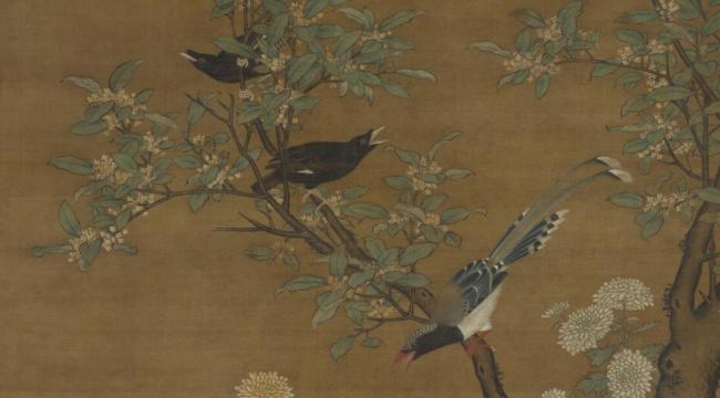 桂花也是从石头里“蹦”出来的吗 岩桂的前世今生