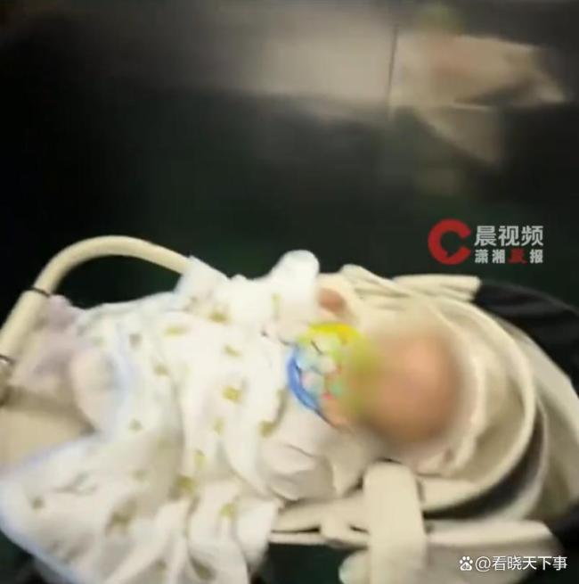 带狗女子电梯内抱两狗面壁 文明养宠典范
