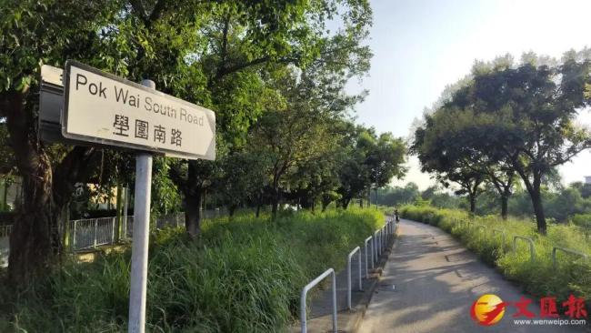 香港一女子浑身是血倒卧人行道，遭多处咬伤，警方通报 疑被野狗袭击身亡