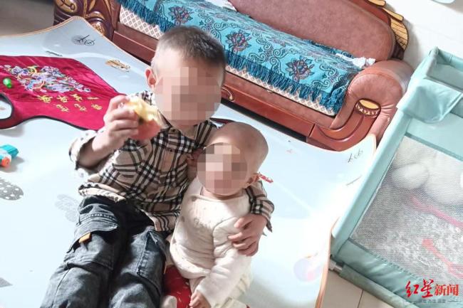 家属称养蜂人否认蜇人蜂系其养殖 庭审争议焦点浮现