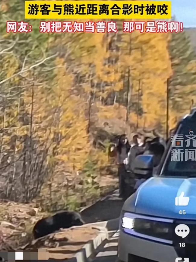 自驾游客下车投喂野熊被咬裤腿 网友:别把无知当善良 那可是熊啊!