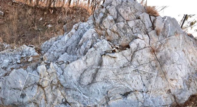 安徽发现2.4亿年前“巨鲎”足迹:揭示远古海洋生态