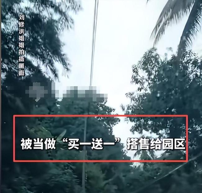 因超35岁被买一送一卖到电诈园区 滞销货的生死逃亡