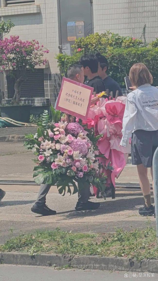 狩谎杀青