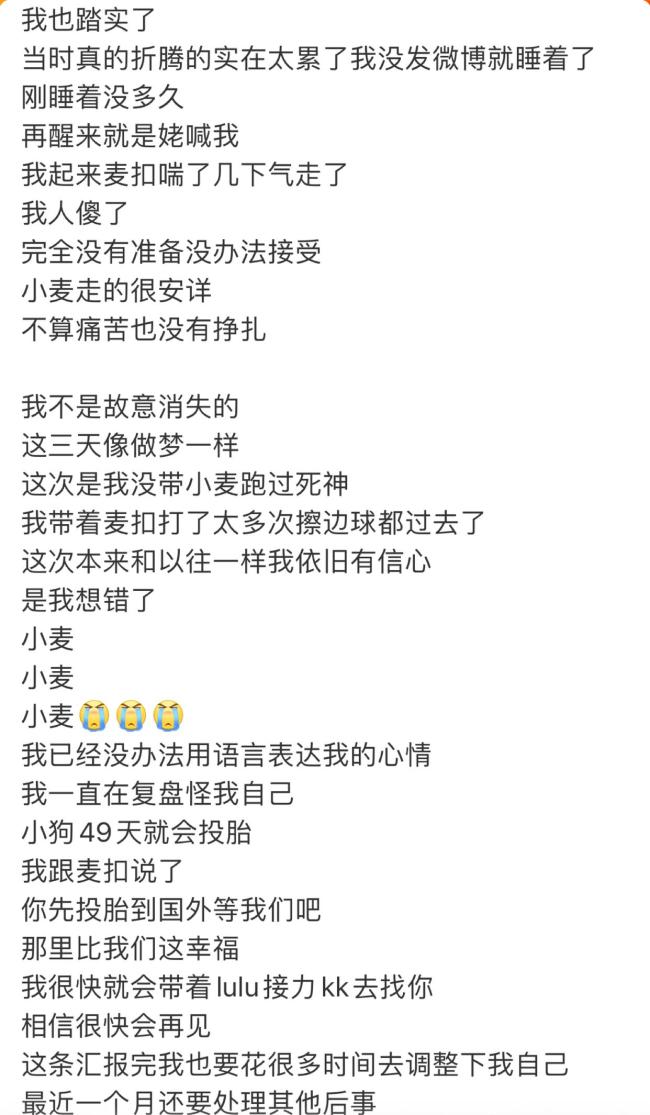 小狗麦麦死一火 网红杜宾犬离世激发网友怀念