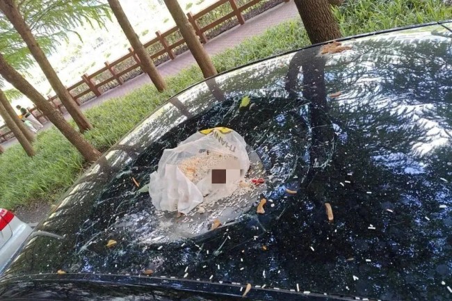 男子为泄愤从17楼扔垃圾砸穿轿车天窗,事后找AI想对策,单位:解聘,警方:已刑拘