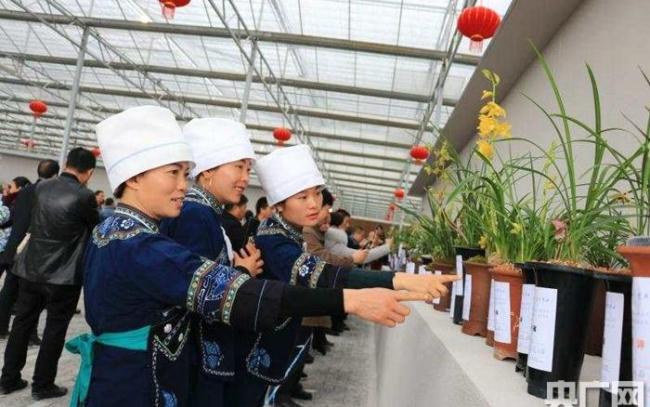 《兰香还是》豆瓣开分7.5分 评分东谈主数激发烧议