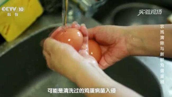 一家三口吃清洗过的鸡蛋后集体中毒 水洗破坏保护膜