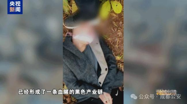 10万民警抵达中缅边境参与专项行动 重拳出击打击电诈