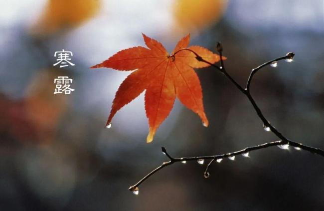 寒露时节注意心脑血管和呼吸道防护！医生提醒：做好这几件事，平稳度过深秋