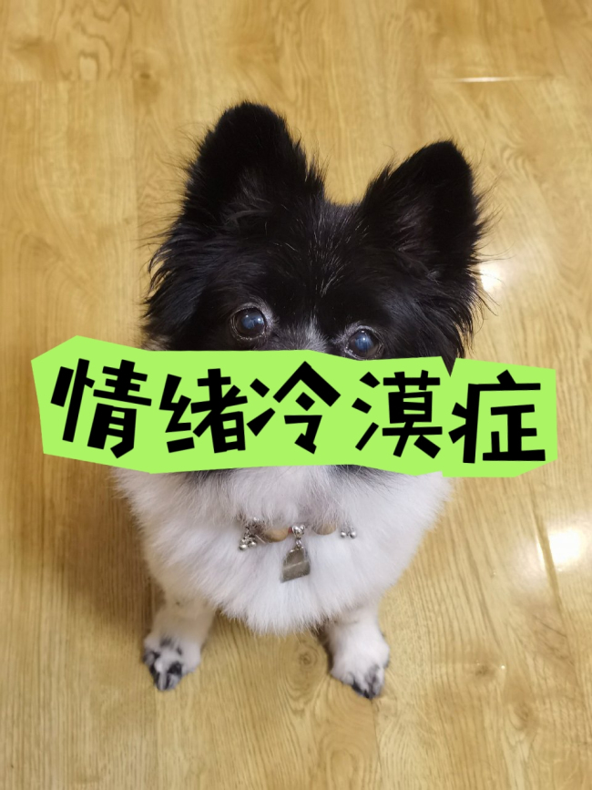 原来这叫情绪冷漠症!