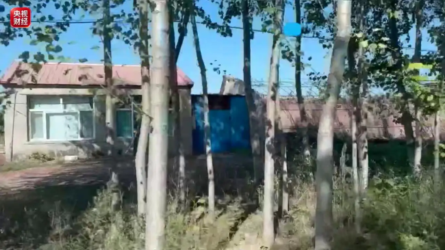 央视曝光撂荒的蔬菜大棚