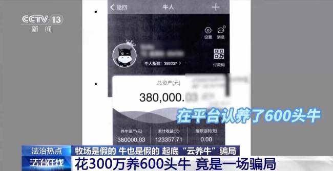 央视起底云养牛骗局 警惕高收益陷阱