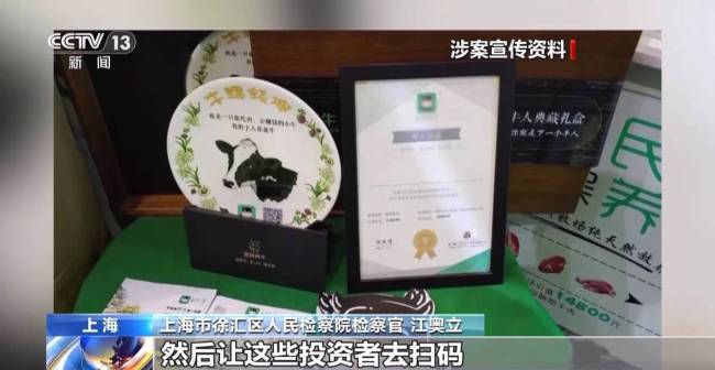 央视起底云养牛骗局 警惕高收益陷阱
