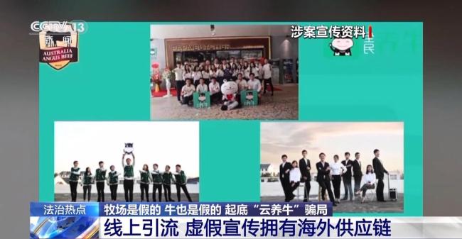 云养牛骗局已致投资者损失4000多万 警惕虚假理财陷阱