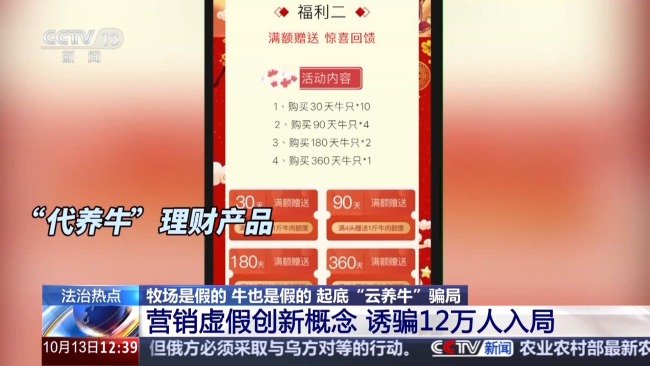 云养牛骗局已致投资者损失4000多万 警惕虚假理财陷阱