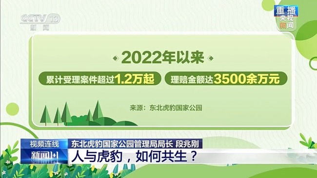 新闻1+1丨人与虎豹，如何共生？