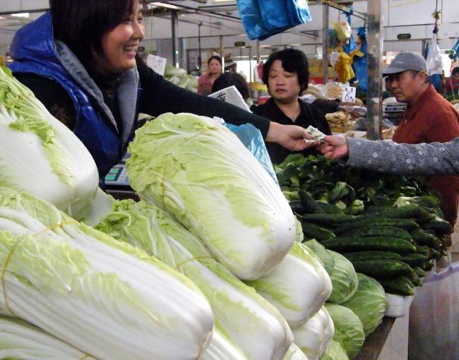 日本高价白菜背后藏着多大雷区