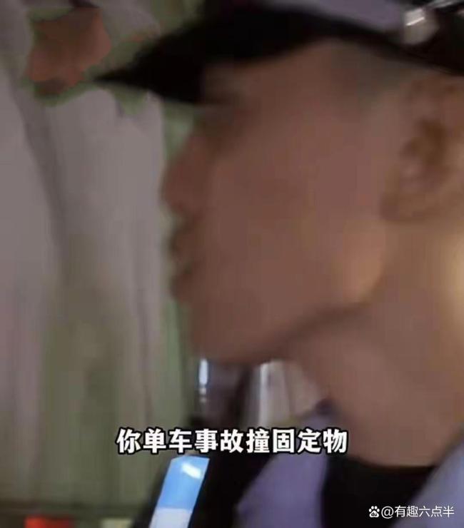 上海一司机撞树喊冤:这棵树长太歪 都怪它心态引反思