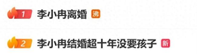 李小冉曾说承担不了生孩子的责任