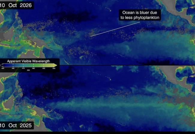 NASA卫星直击“最强厄尔尼诺”：赤道太平洋海水由绿变蓝 浮游生物断粮引发变化