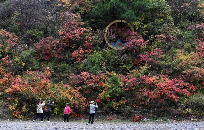 “声动”二十四节气·霜降 秋色浓情